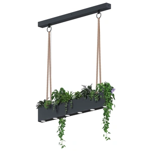 Изображение ПЛАНТ №5