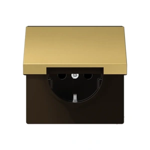 Изображение Розетка с заземлением и крышкой 16А 250В LS 990 латунь классик ME1520KLC Jung