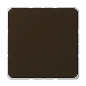 Изображение Заглушка с опорной пластиной CD594-0BR CD 500