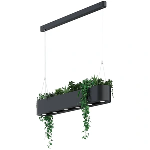 Изображение Плант №14 подвесной